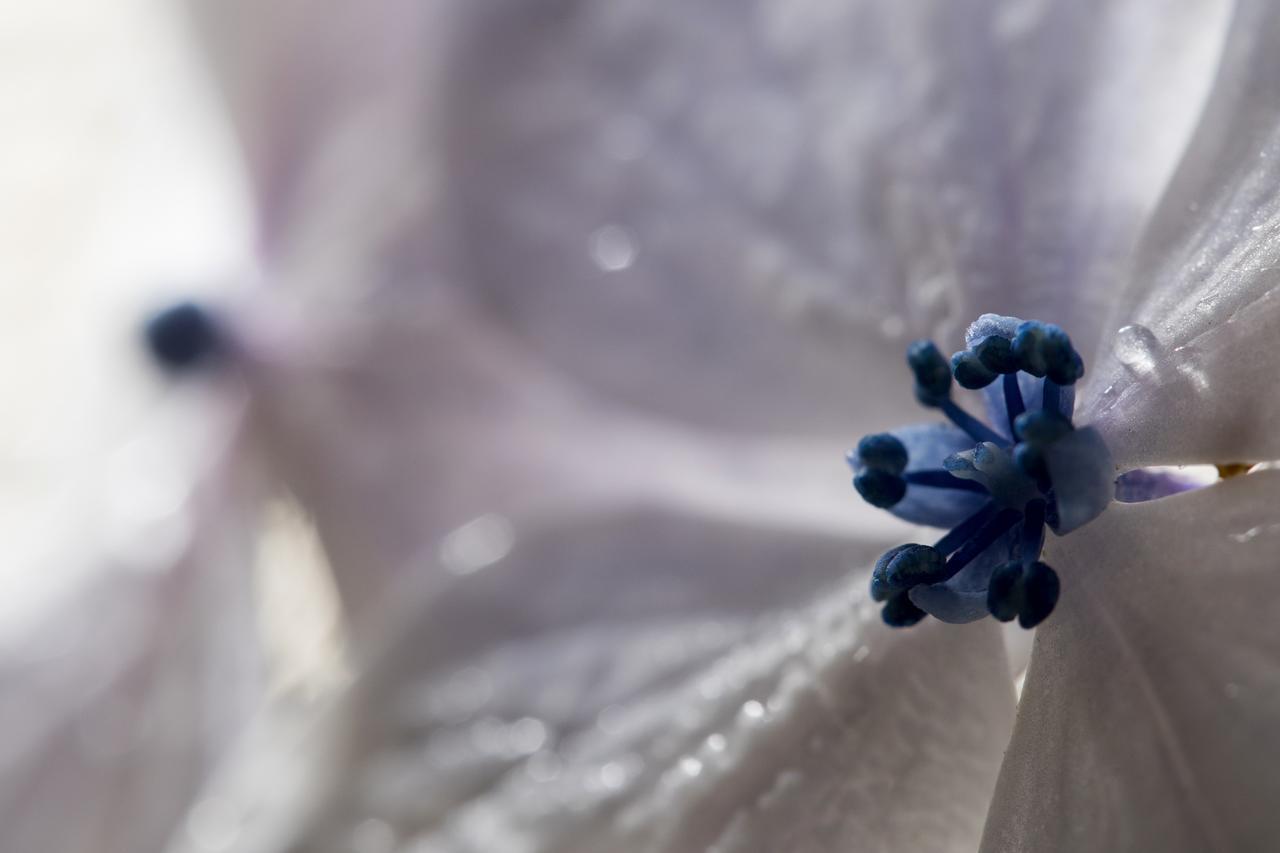 Hortensias Chalets Vara Blanca Ερέδια Εξωτερικό φωτογραφία